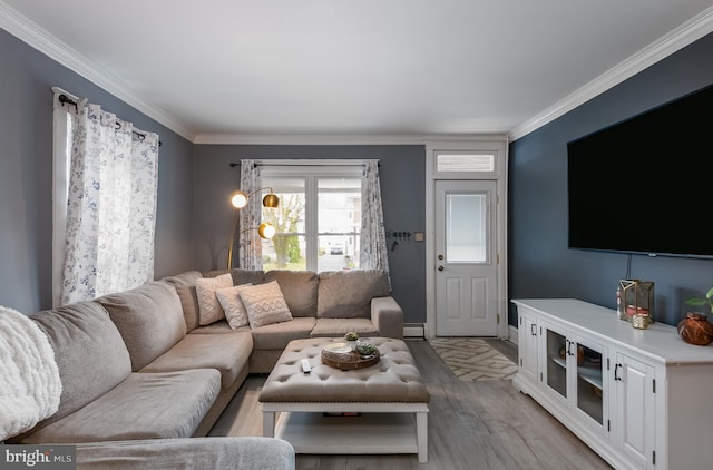 living room with crown molding, baseboards, and light wood-type flooring