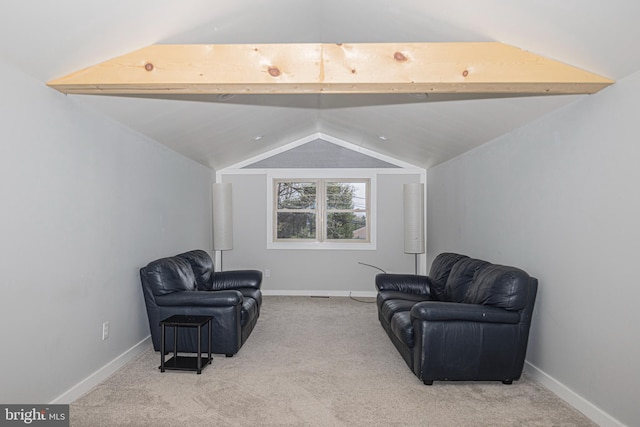 116 N 8th St Unit 2, Oakland, MD 21550 - living area with baseboards, carpet, and lofted ceiling