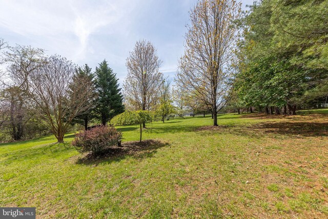 260 High Banks Rd, Stephenson, VA 22656 - view of yard