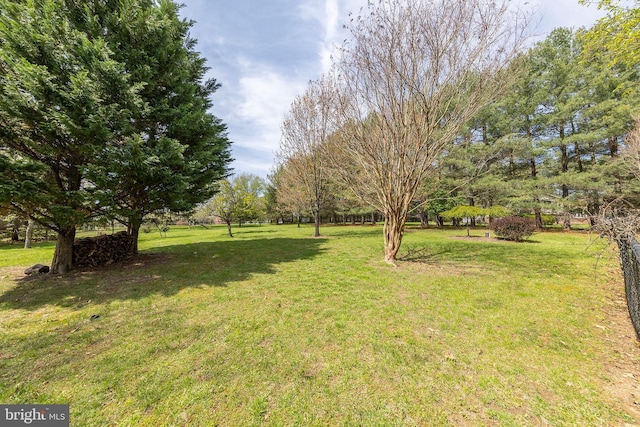260 High Banks Rd, Stephenson, VA 22656 - view of yard