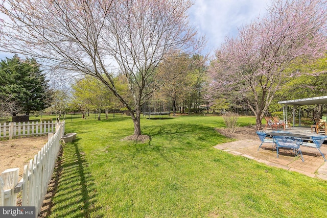 260 High Banks Rd, Stephenson, VA 22656 - view of yard with a trampoline, fence, and a patio area