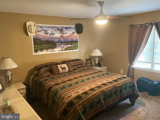 bedroom featuring ceiling fan and carpet flooring