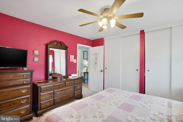bedroom with two closets, ceiling fan, and carpet floors