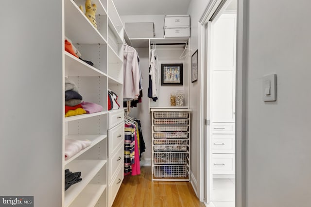 walk in closet with light wood-type flooring