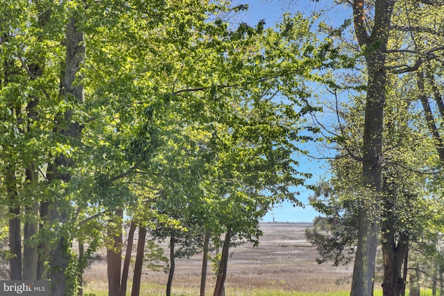 view of landscape featuring a rural view