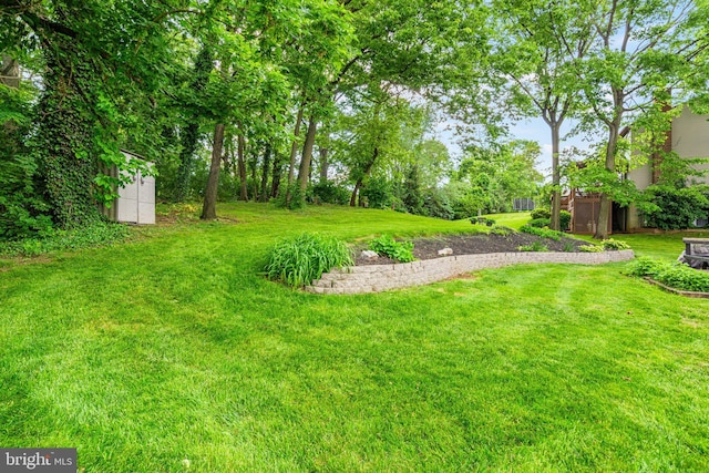 1604 Kathryn St, New Cumberland, PA 17070 - view of green lawn