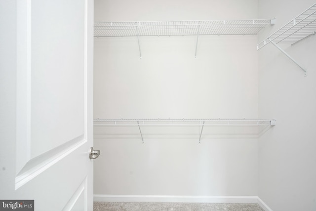 view of walk in closet