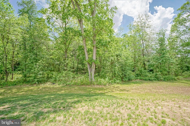 view of yard featuring a forest view