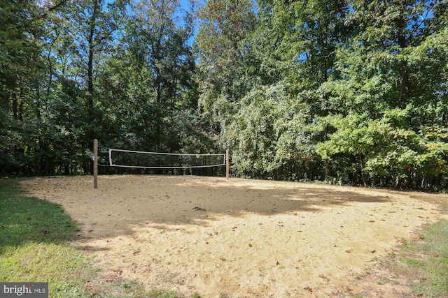 14019 Rockingham Rd, Germantown, MD 20874 - surrounding community featuring volleyball court and a forest view