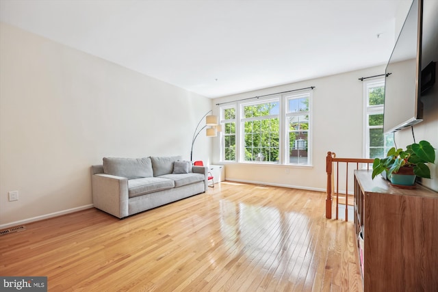 14019 Rockingham Rd, Germantown, MD 20874 - living room with light wood-style flooring, plenty of natural light, and baseboards