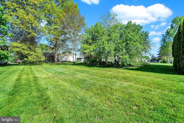 view of yard