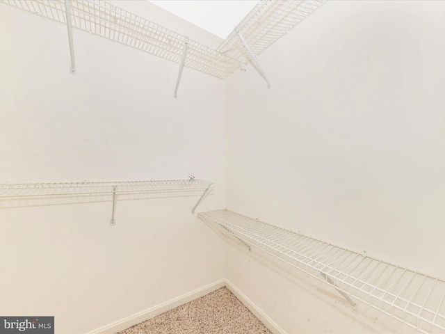 13107 Bridger Dr Unit 104, Germantown, MD 20874 - spacious closet featuring light colored carpet