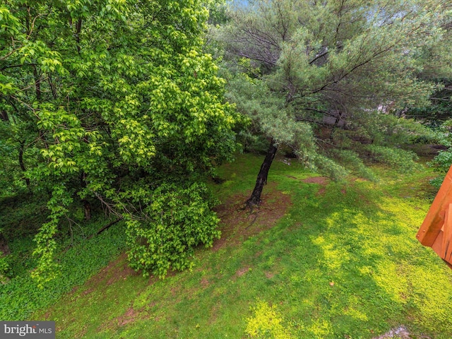 13107 Bridger Dr Unit 104, Germantown, MD 20874 - view of yard