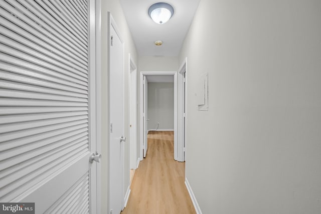 5414 Valley Green Dr Unit D4, Wilmington, DE 19808 - corridor with light wood finished floors and baseboards