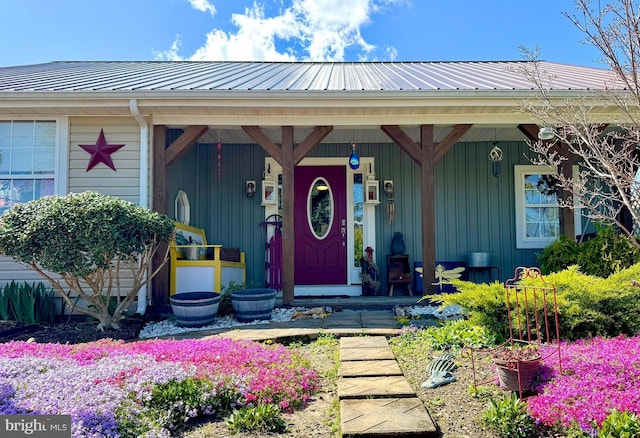 view of exterior entry with metal roof and a porch