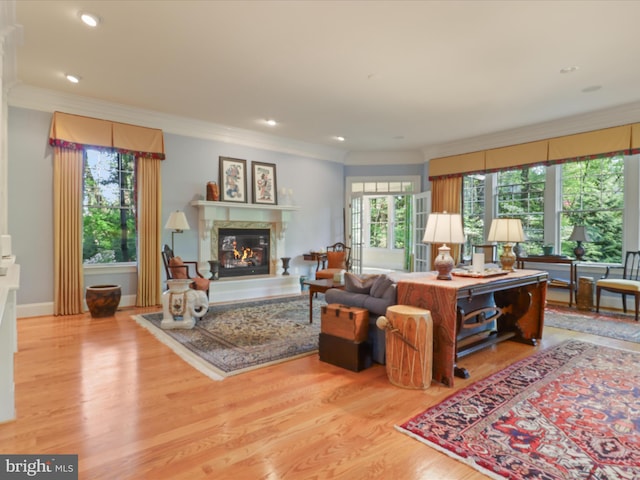 living area with recessed lighting, ornamental molding, wood finished floors, and a high end fireplace