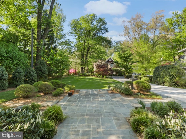 view of property's community featuring a lawn