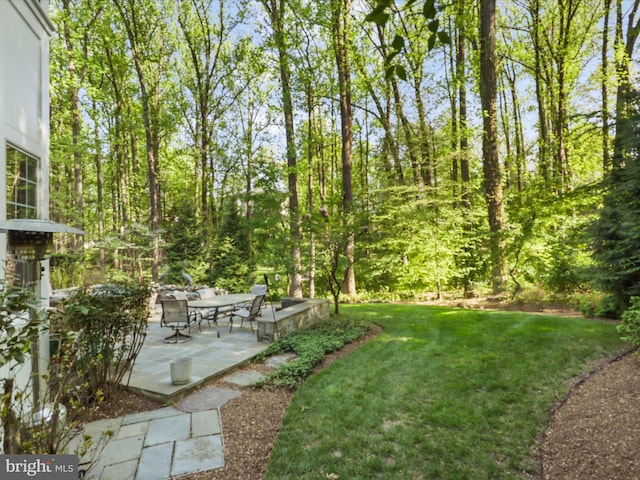 view of yard featuring a patio area