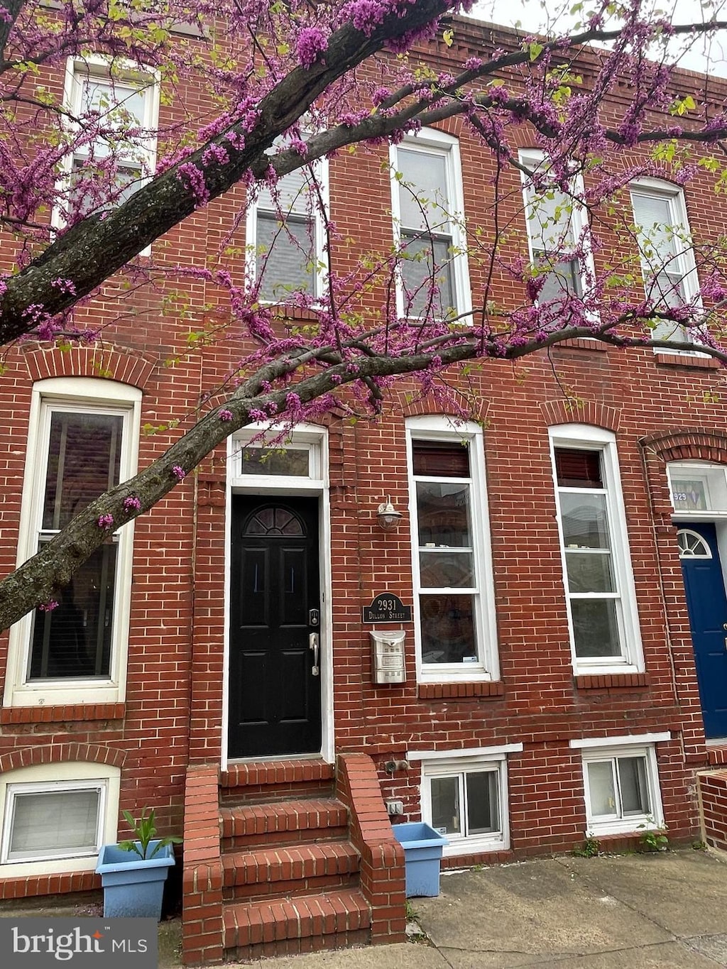 view of front of house featuring brick siding and entry steps