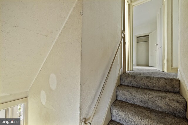 stairway with carpet flooring and lofted ceiling