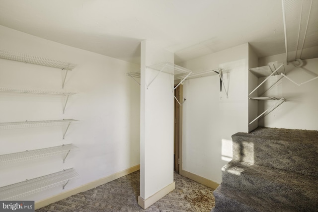 spacious closet with carpet floors