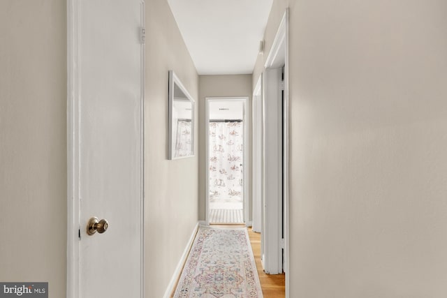 3825 Davis Pl NW Unit 202, Washington, DC 20007 - corridor with light wood-style floors and baseboards