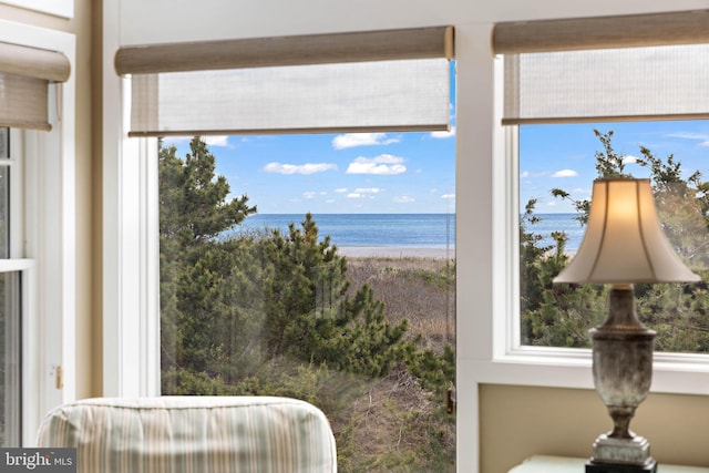view of water feature with a beach view