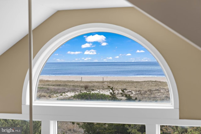 water view featuring a beach view