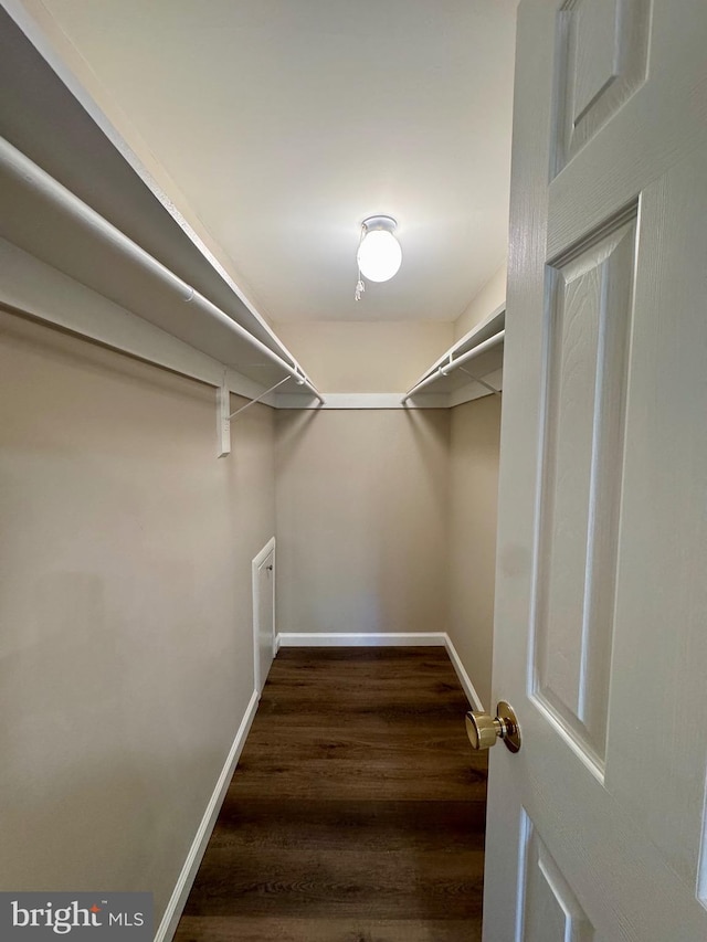 511 N Armistead St Unit T2, Alexandria, VA 22312 - spacious closet with wood finished floors