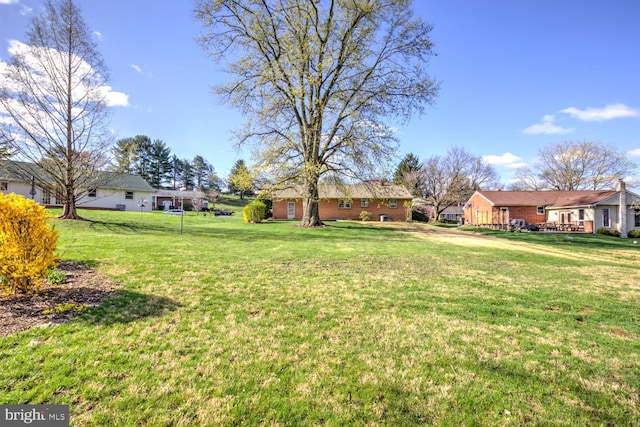 view of yard