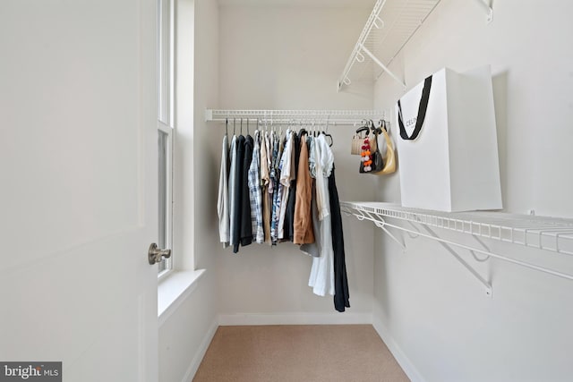 13547 Sayward Blvd Unit 67, Herndon, VA 20171 - spacious closet with carpet