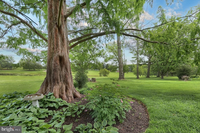 6 Pond Ridge Ln, Hanover, PA 17331 - view of grassy yard featuring view of wooded area