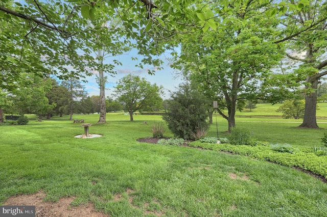 6 Pond Ridge Ln, Hanover, PA 17331 - view of grassy yard
