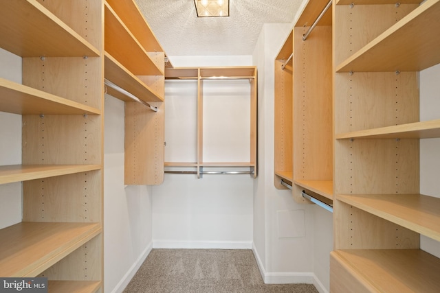 1077 30th St NW Unit 612, Washington, DC 20007 - walk in closet with carpet