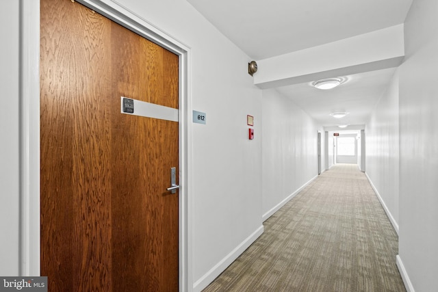 1077 30th St NW Unit 612, Washington, DC 20007 - corridor with carpet flooring and baseboards