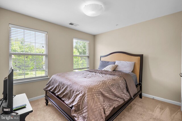 17202 Madrillon Way, Accokeek, MD 20607 - bedroom featuring light colored carpet and multiple windows