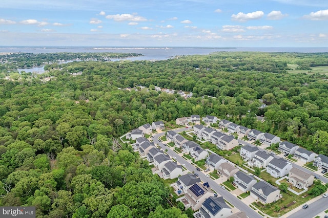 7928 Meridian Dr, Pasadena, MD 21122 - drone / aerial view of a large body of water and a forest
