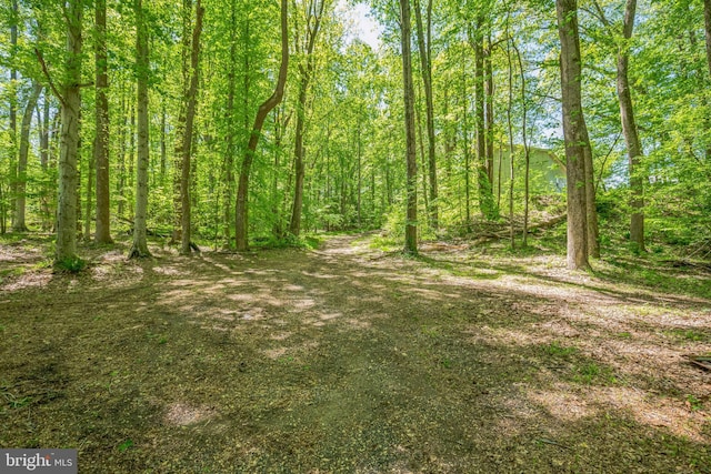view of local wilderness with a wooded view
