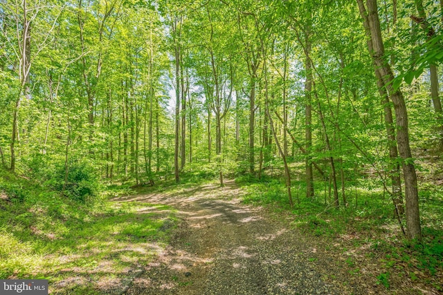 view of local wilderness with a view of trees