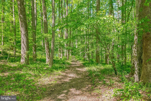view of landscape featuring a wooded view