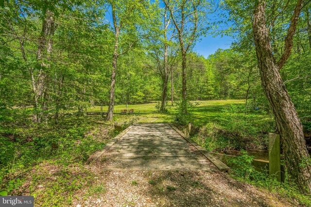 view of street featuring a wooded view