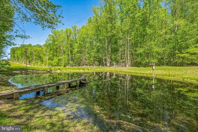 dock area with a water view