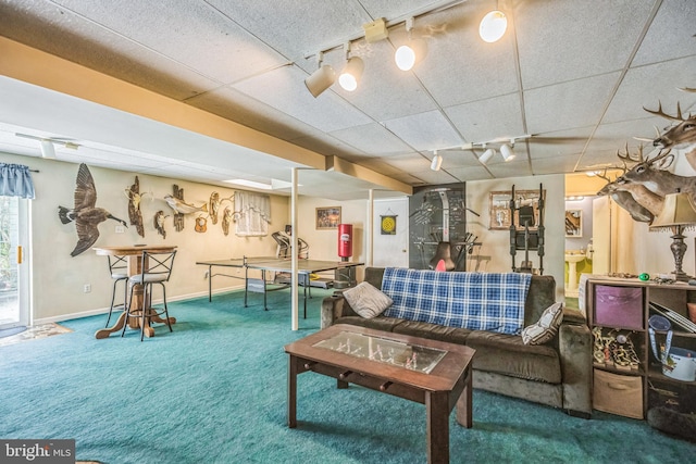 living area featuring baseboards, carpet, and a drop ceiling