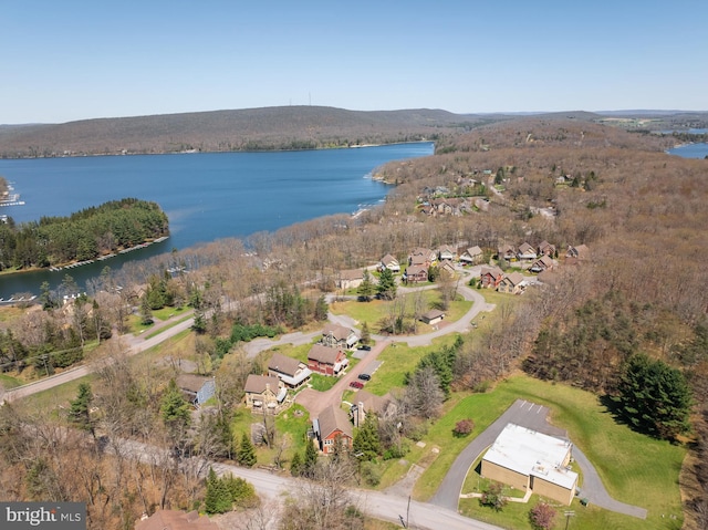 drone / aerial view with a residential view, a view of trees, and a water view
