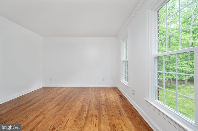 empty room with baseboards, ornamental molding, a wealth of natural light, and light wood finished floors