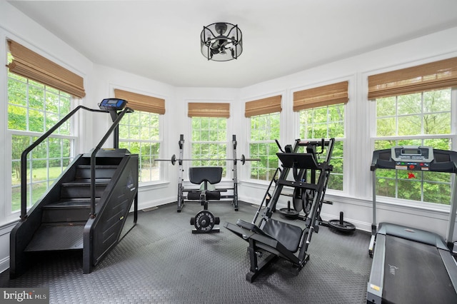 workout area featuring baseboards, plenty of natural light, and carpet flooring