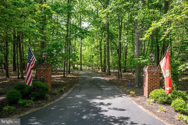 view of road with a wooded view