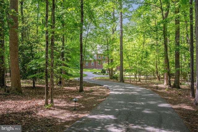 surrounding community with driveway