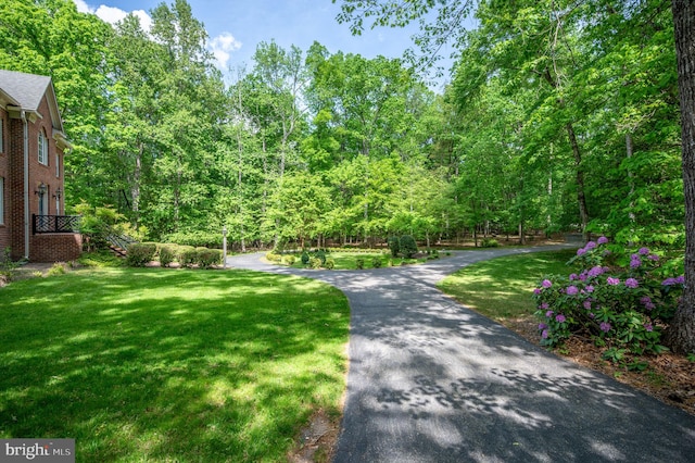 surrounding community featuring a lawn, a view of trees, and driveway