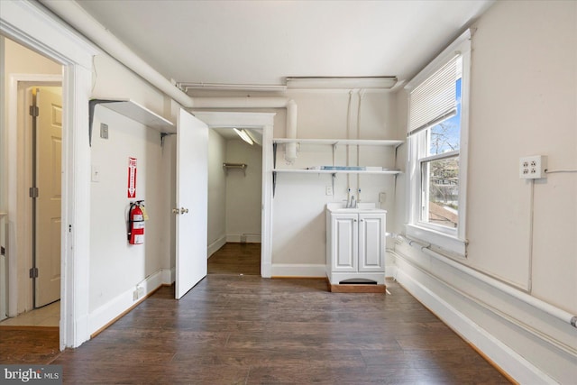 spacious closet featuring dark wood-type flooring